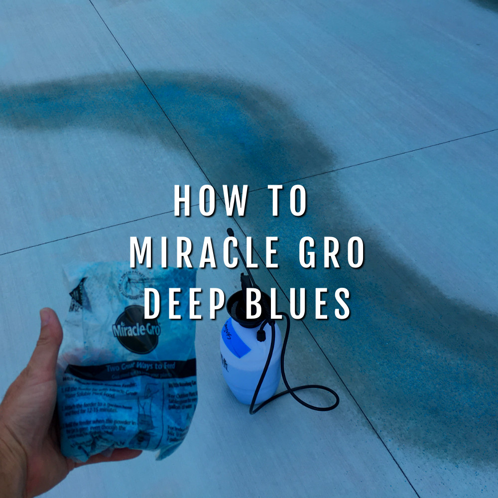 How to Use Miracle Gro To Enhance The Blue Hues Of Acid Stain On Concrete